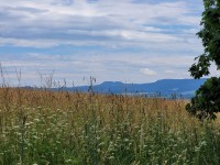 /album/zdonov/20230712-130733-jpg/