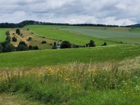 /album/zdonov/20230713-120958-jpg/