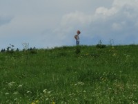 /album/zdonov/20230713-121320-jpg/