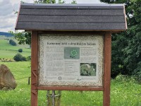 /album/zdonov/20230713-121821-jpg/