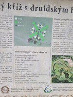 /album/zdonov/20230713-122635-jpg/