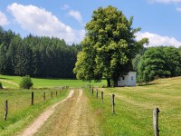 /album/zdonov/20230711-120411-jpg/