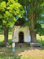 /album/zdonov/20230711-120554-jpg/