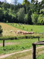 /album/zdonov/20230711-120820-jpg/